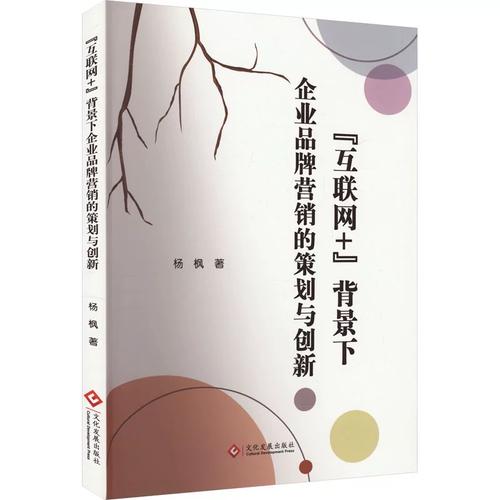 网+"背景下企业品牌营销的策划与创新 杨枫 著 经管,励志 市场营销